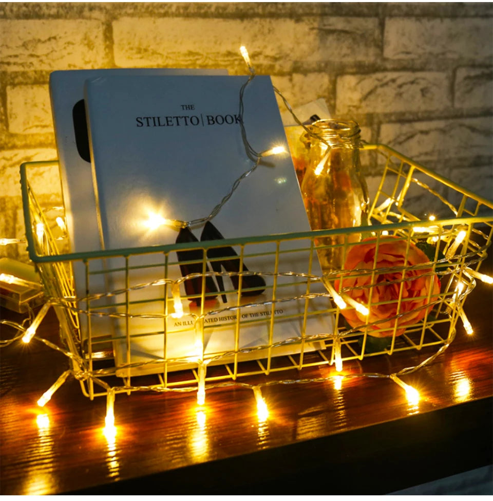 Christmas LED Fairy String Lights for Home & Garden