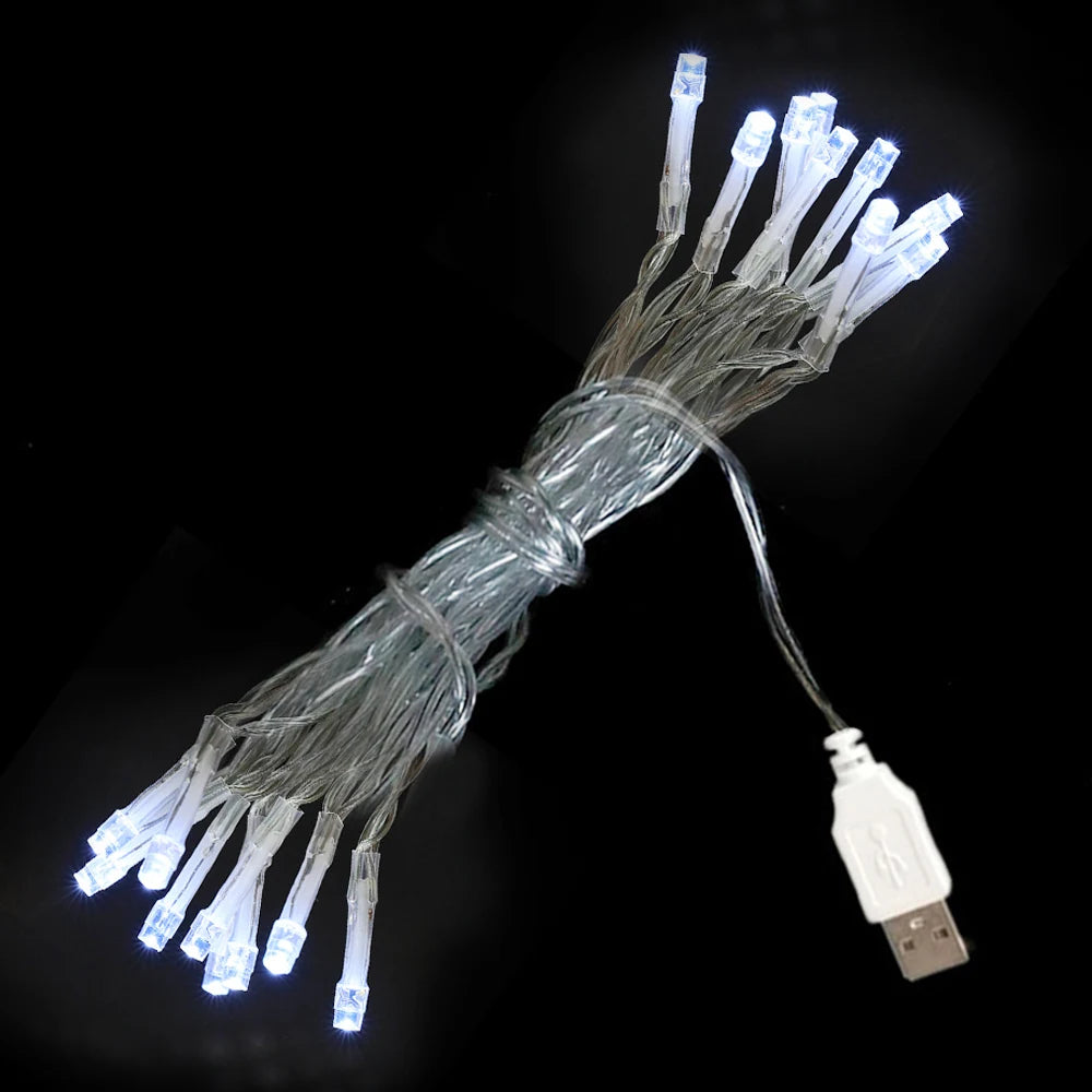 Christmas LED Fairy String Lights for Home & Garden